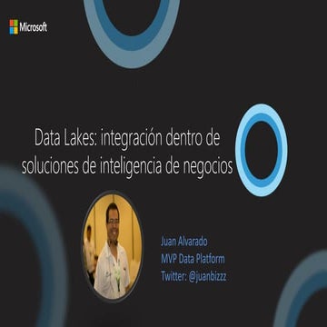 Azure Data Lake: integracion dentro de soluciones de inteligencia de negocios