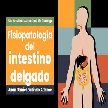Fisiopatología I. Trastornos de la Absorción. Fisiopatología del intestino Delgado.