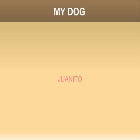 Juanito My Dog