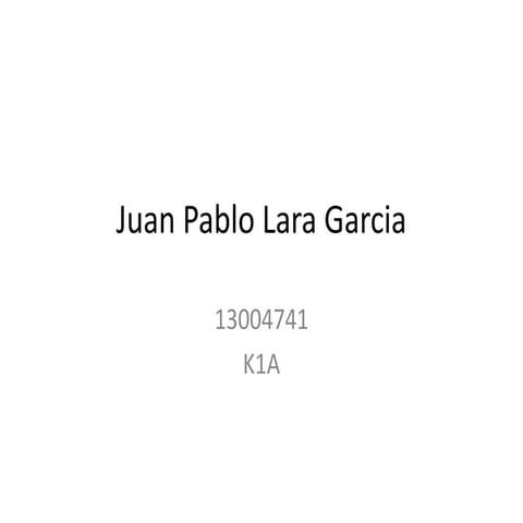 Juan Pablo Lara Garcia