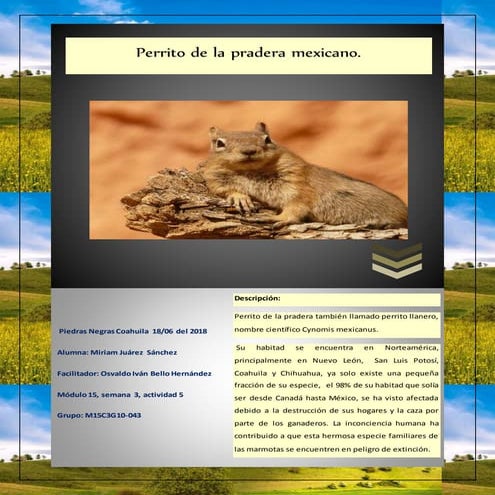 Juarez sanchez miriam_m15s3_ actividadhumanavsambiente