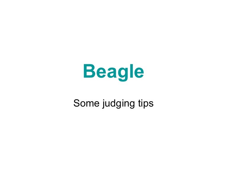 beagle website