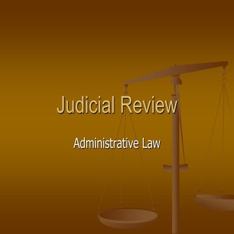 Judicial review