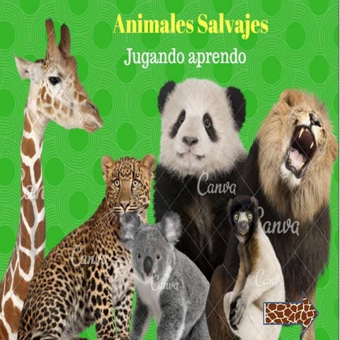 Juego Animales salvajes. "Ayuda  a carlitos a llegar a  la selva" 