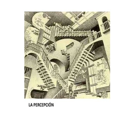 JUEGOS DE PERCEPCIÓN