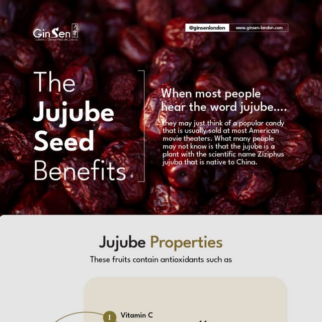Jujube Seed Benefits PDF
