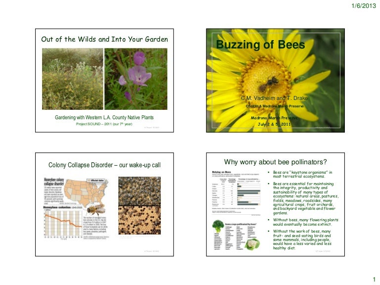 Bee Garden Notes