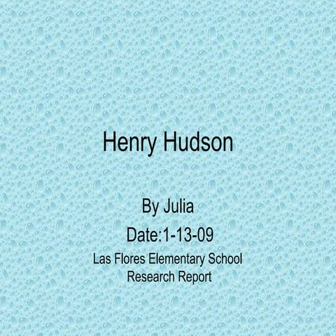 Julia Explorer Report