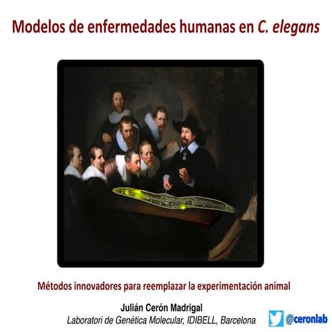 Julián Cerón (IDIBELL)