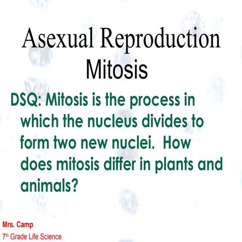 Julie camp mitosis ppt