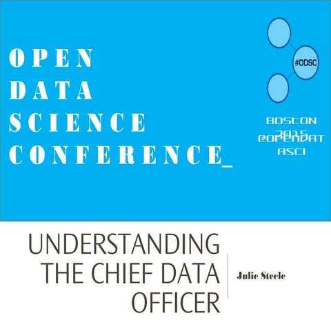 Understanding the Chief Data Officer 