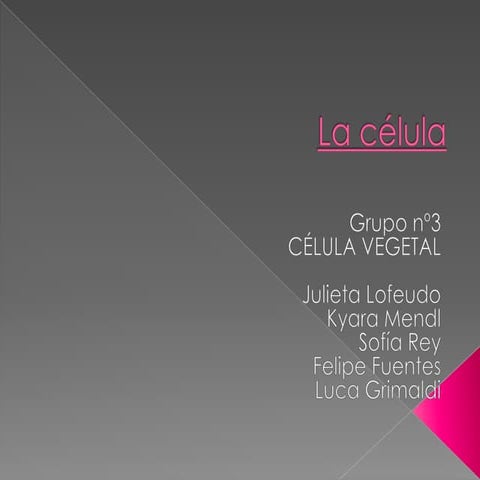 Juli lofeudo, kyara mendl, felipe fuentes, sofia rey y luca grimaldi 6º b...