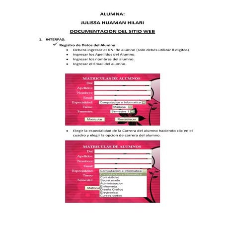 Julissa huaman hilari