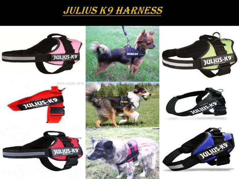 k9 training harness