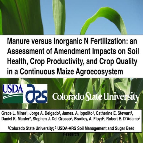 July 30-1110-Grace Miner