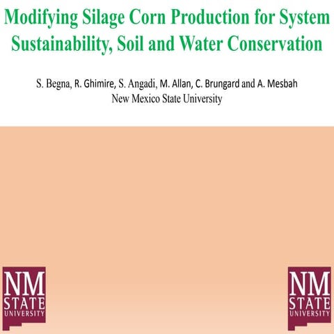 July 30-150-Sultan Begna