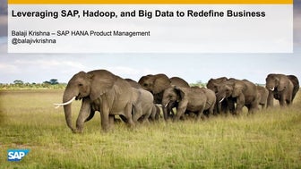 Leveraging SAP, Hadoop, and Big Data to Redefine Business