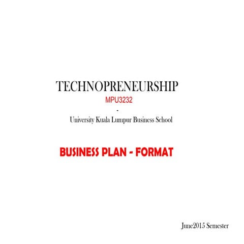   business plan format 