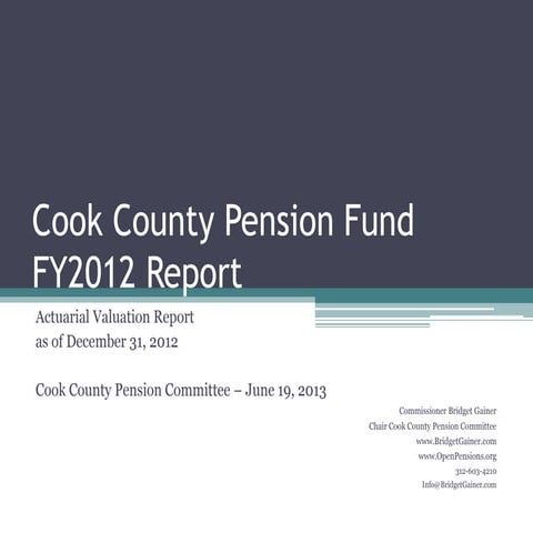 Bridget Gainer: June 19 2013 Pension Committee Report