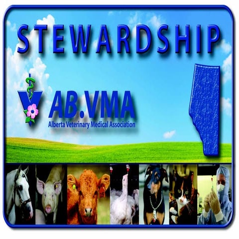 June 2012 Registration Day, Overview of the ABVMA