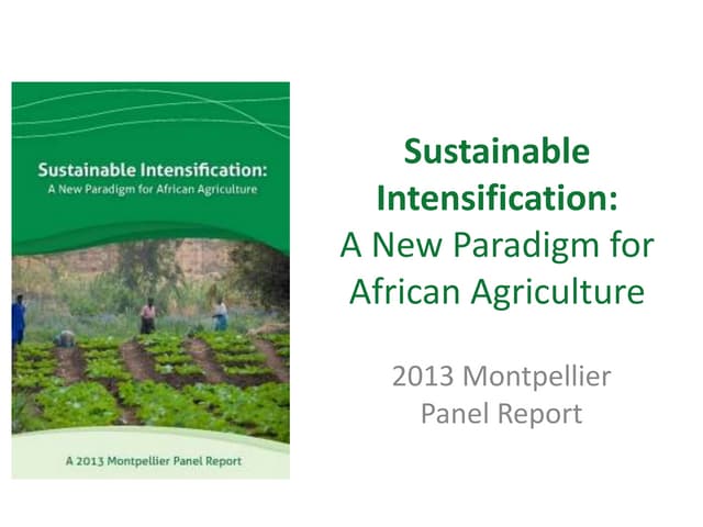 Sustainable Intensification: A New Paradigm for African Agriculture 2013 Montpellier Panel Report