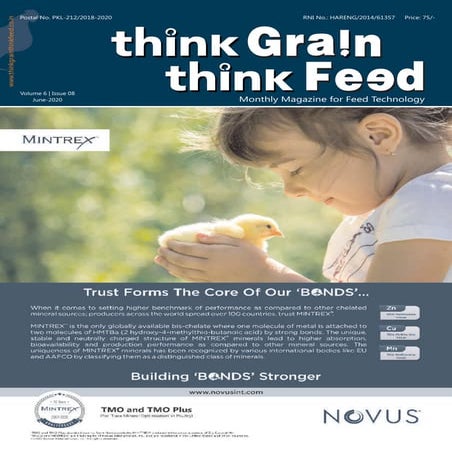 Think Grain Think Feed June issue 2020 | PDF