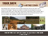 Jungle corridors-helps-in-breeding-...