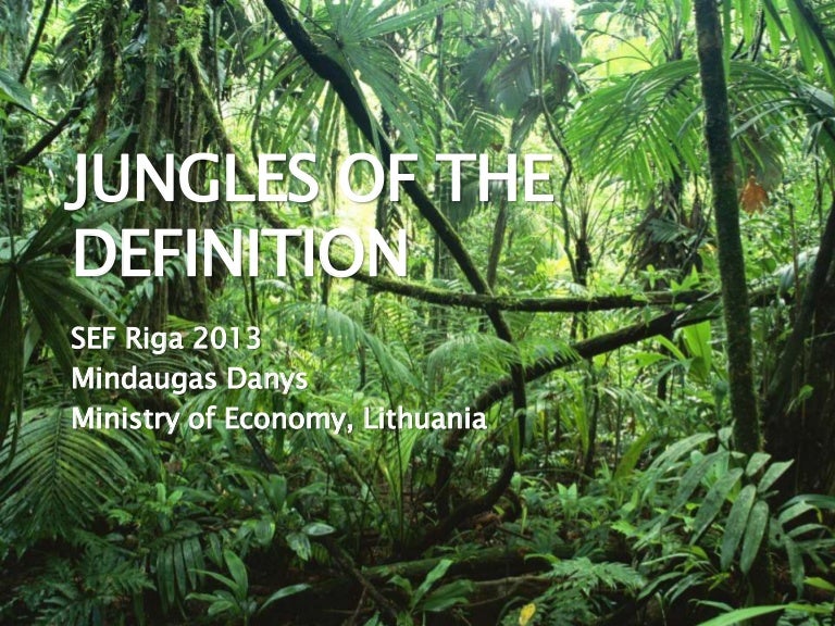 Jungles of the definition Social Enterprise