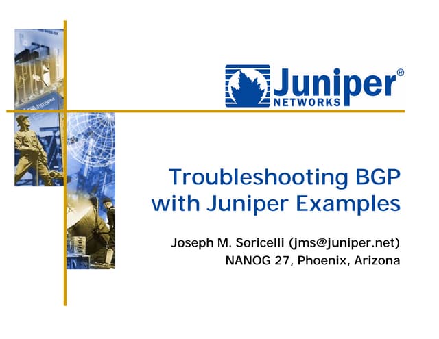 Juniper Bgp