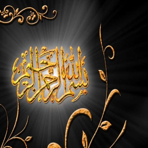 Junk and fast food presentation