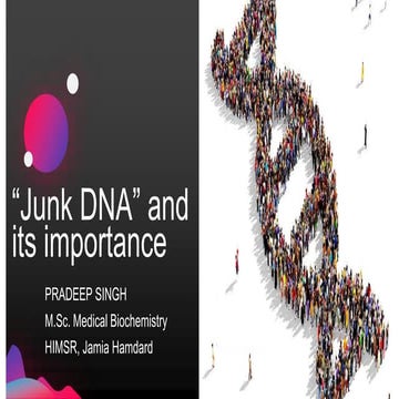 Junk DNA/ Non-coding DNA and its Importance  (Regulatory RNAs, RNA interferen...