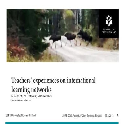 Teachers’ experiences on international learning networks