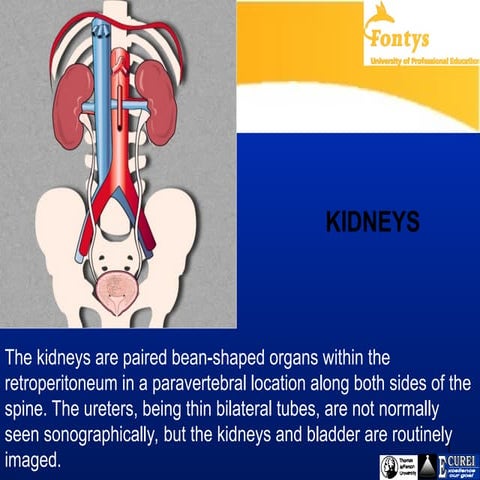 JUREI-ECURE GEN.I  ABD.ANA HSAJJHEHWHHFHH3.ppt