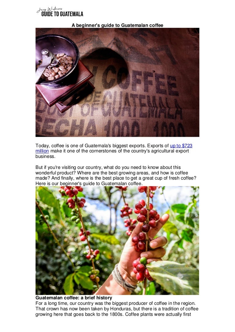 View Brief History Of Guatemala Pictures