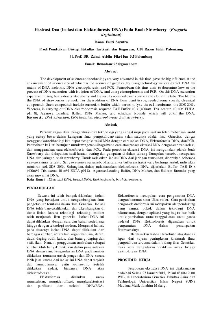 JURNAL ELEKTROFORESIS DNA PDF