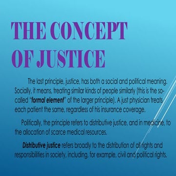 In this ood vessels Main type of cells a