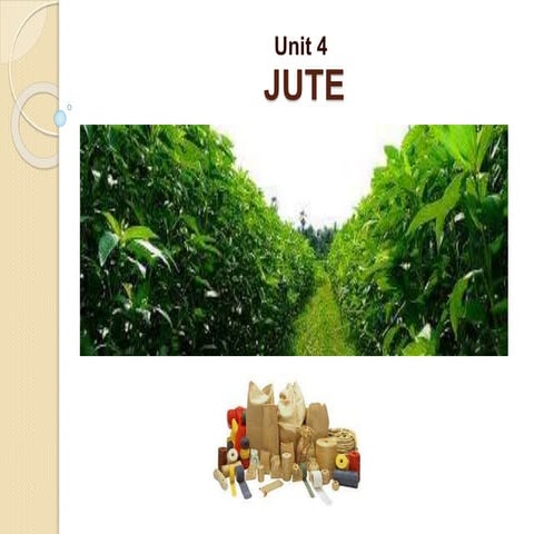 Natural FIber - Jute