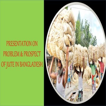 Problem Prospect of jute in Bangladesh