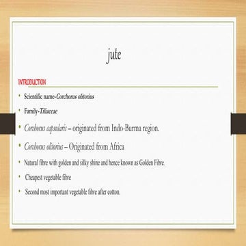 Jute.pptx