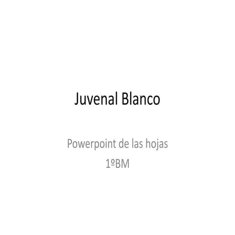 Juvenal blanco, powerpoint1