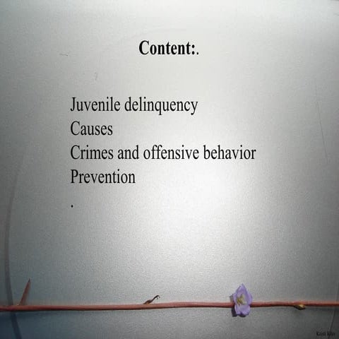 Juvenile Delinquency - Definition, Meaning, Examples, Crimes and offensive be...
