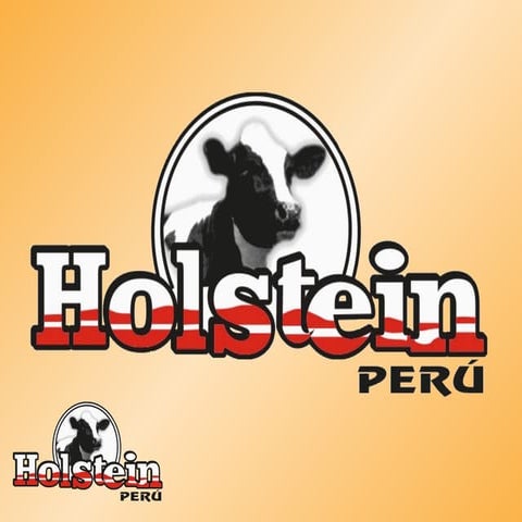 Juzgamiento holstein