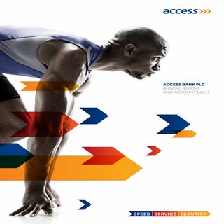Access bank annual report 2013