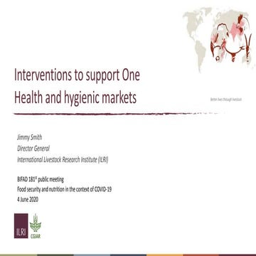 Interventions to support One Health and hygienic markets