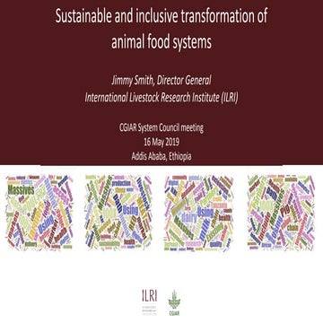 Sustainable and inclusive transformation of animal food systems
