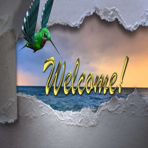 jyoti PT  sub-centre.pptx