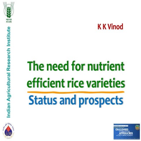 The need for nutrient efficient rice varieties Status and prospects
