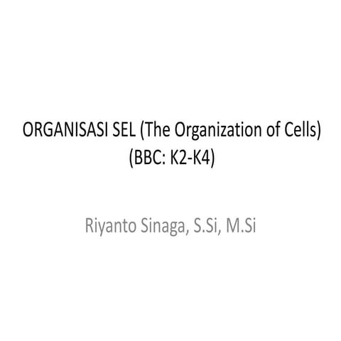 K   2 sd k - 4 organisasi sel - copy