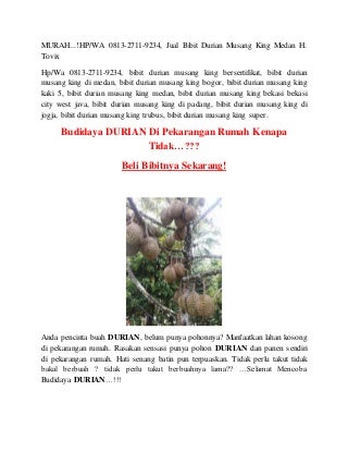 MURAH.!HP/WA 0813-2711-9234, Jual Bibit Durian Musang King Medan H. Tovix