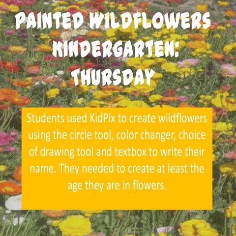 Thursday Painted Wildflowers